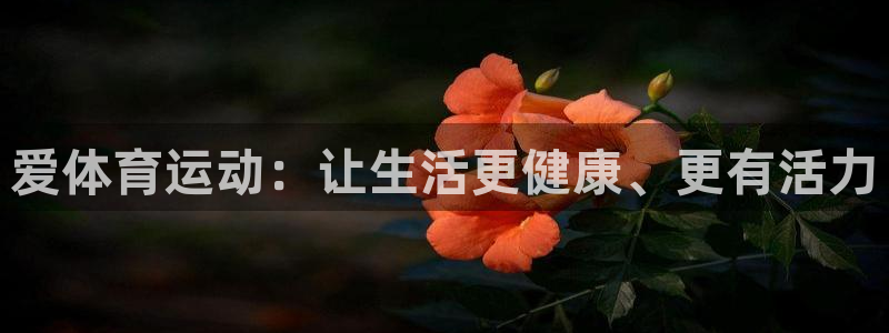 oety欧亿