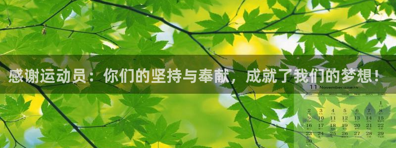 oety欧亿