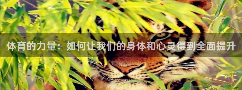 oety欧亿：体育的力量：如何让我们的身体和心灵得到全面提升