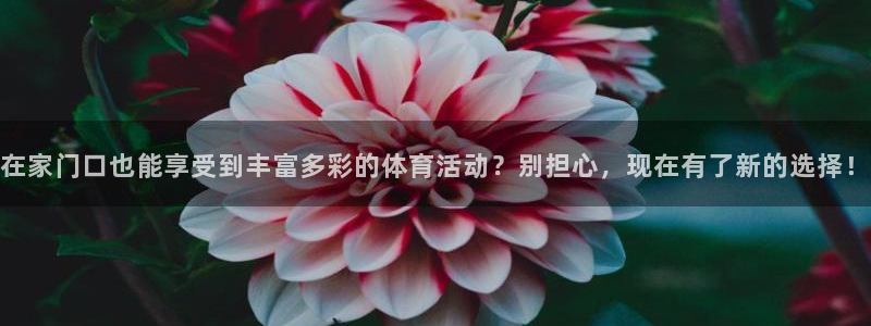 oety欧亿