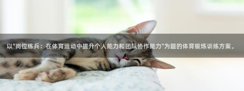 oety欧亿
