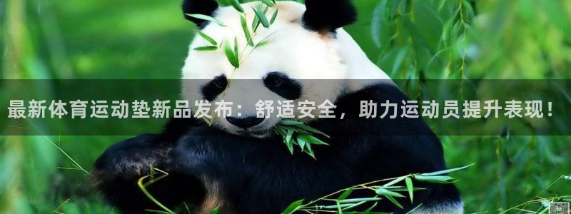 oety欧亿：最新体育运动垫新品发布：舒适安全，助力运动员提升表现！