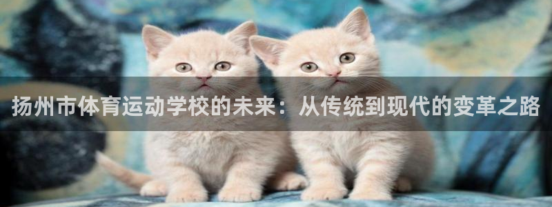 oety欧亿：扬州市体育运动学校的未来：从传统到现代的变革之路