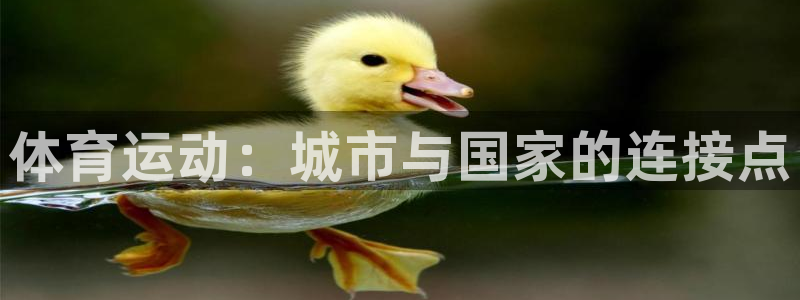 oety欧亿：体育运动：城市与国家的连接点