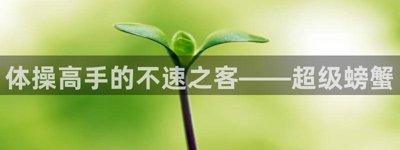 oety欧亿：体操高手的不速之客——超级螃蟹